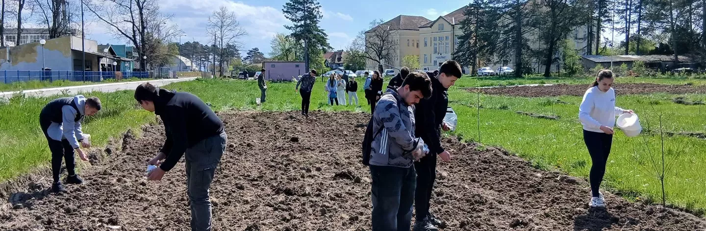 Pet škola, 620 učenika i kilometar polinatorskih traka: Završen projekat "Zajedno pčelama na dar"