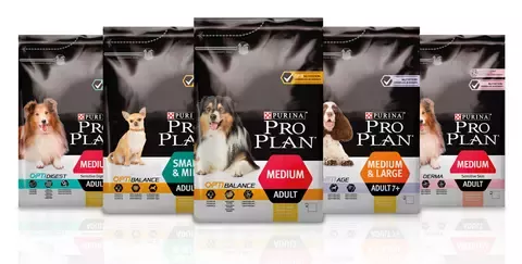 pro plan portfolio