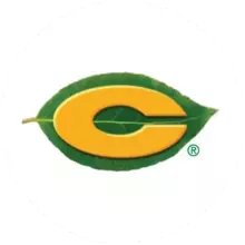 C logo