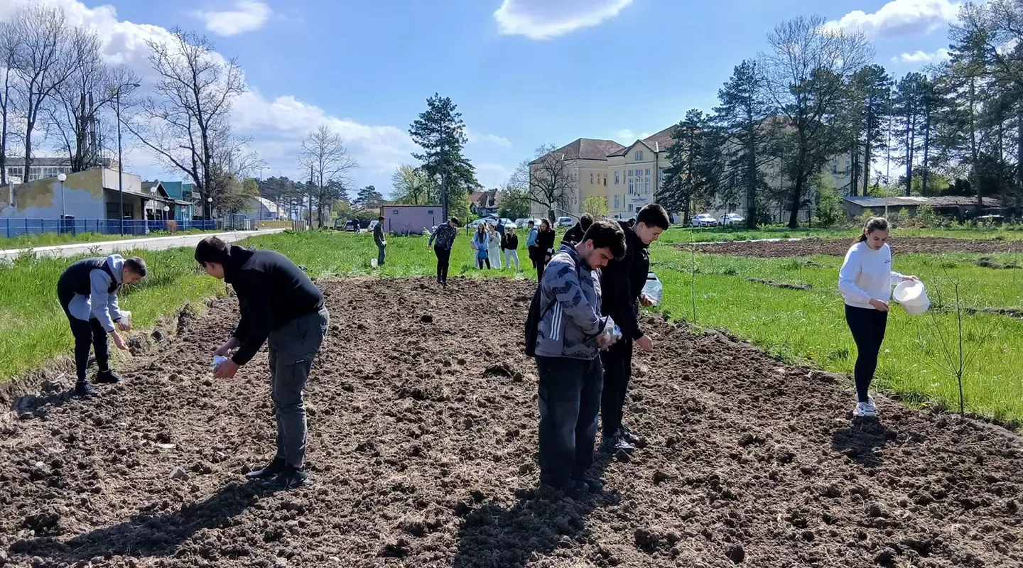 Pet škola, 620 učenika i kilometar polinatorskih traka:  Završen projekat „Zajedno pčelama na dar“ 