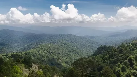 Udruživanje radi zagovaranja klimatskog delovanja 
