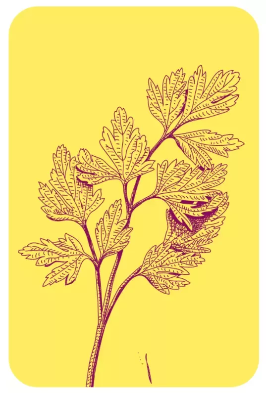 Fleksitarijanci i vegani