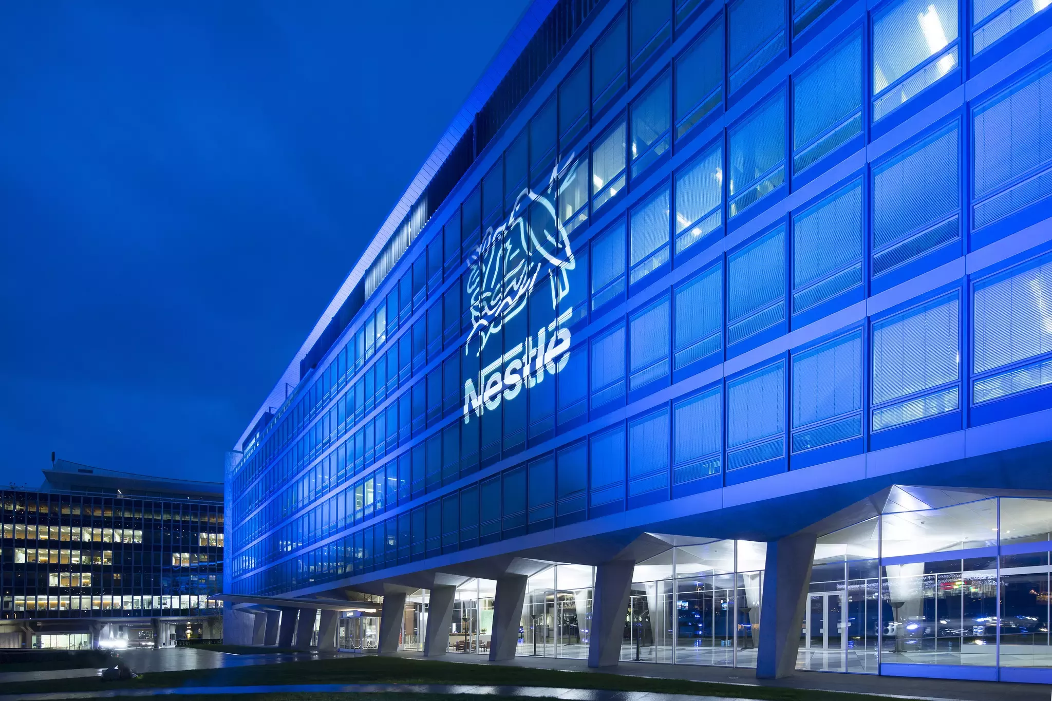 Nestle 1