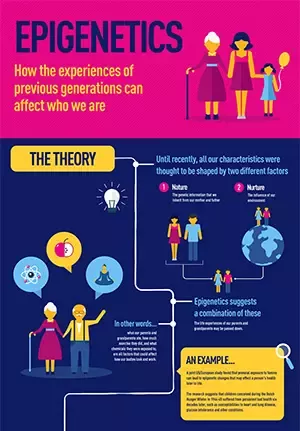 Epigenetika infografika