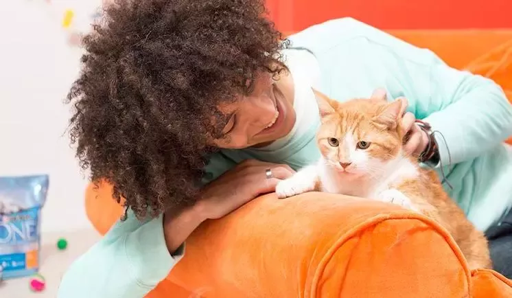 working-product-portfolio-purina-wide